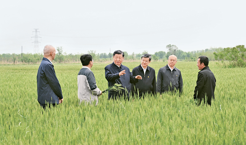 2023年5月11日至12日，中共中央總書記、國家主席、中央軍委主席習(xí)近平在河北考察，并主持召開深入推進(jìn)京津冀協(xié)同發(fā)展座談會(huì)。這是11日上午，習(xí)近平在滄州市黃驊市舊城鎮(zhèn)仙莊片區(qū)旱堿地麥田考察時(shí)，同種植戶、農(nóng)技專家親切交流。 新華社記者 李學(xué)仁/攝